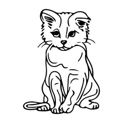 sketch line art animal cat kitten characters hand drawn isolated set. Vector graphic design element illustration