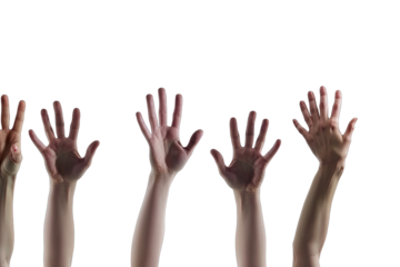 People Raise Hands