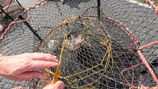 Fisherman Sorting Catch and Preparing Nets