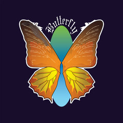 Beautiful butterfly vector, Butterfly illustration with watercolor style