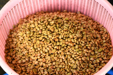 Coffee beans,In the ferment and wash method of wet processing