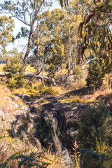 dry summer landscape in australian bushland at Sailors Falls near Daylesford