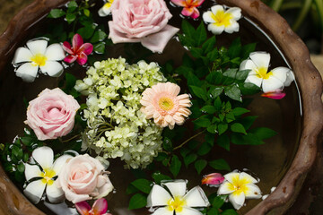 flowers on the water	