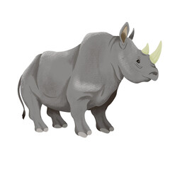 Obraz premium rhinoceros animal illustration in png format