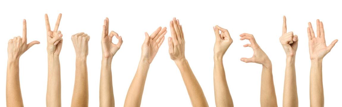 Multiple images set of female caucasian hand gestures