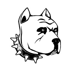 Black And White Pitbull Dog Face With Collar Drawing