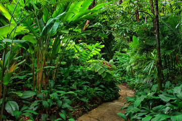 Tropical Garden, Queensland, Australia