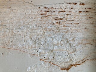 antique peeling and cracked painted white on a brick wall, using as background
