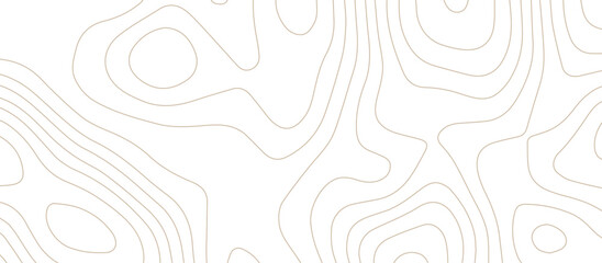 Abstract topography wavy line map background. vector illustration. topography map on land vector terrain Illustration. Black on white contours vector topography stylized height of the lines.