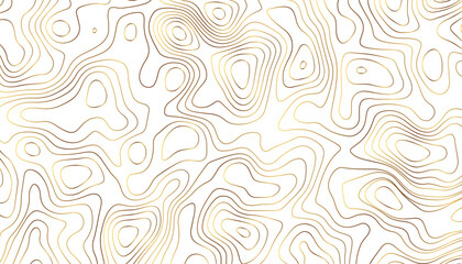 Background of the topographic map. Topographic map lines, contour background. Geographic abstract grid.
