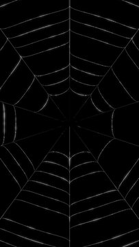 蜘蛛の巣のイメージ縦動画