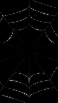 蜘蛛の巣のイメージ縦動画
