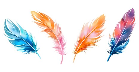 set of colorful feathers isolated in white background 