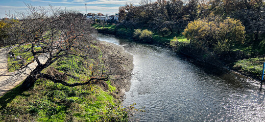 埼玉志木市 いろは親水公園と新河岸川