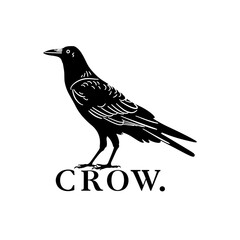  Simple Crow Emblem: Modern Vector Logo illustration featuring a crow.
