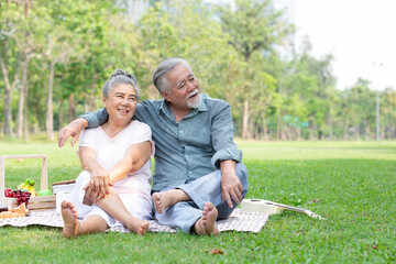 senior couple having a picnic, embracing and looking to something in the park