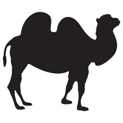 Silhouette of a CAMEL Illustration