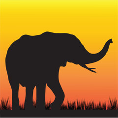 Elephant Silhouette at Sunset