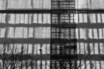 ビルの壁に映る向かいのビルの窓ガラスの太陽光の反射、白黒