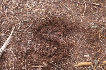 moist soil and tree growing in human hand, on bright green background. Saving the environment, saving clean planet, ecology concept. let's be a healthy nature