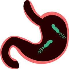 Human stomach and helicobacter pylori. Vector illustration cartoon style. 위장질환, 위염과 헬리코박터균