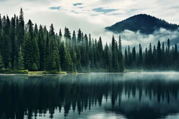 Velvet curtains Forest in fog Majestic evergreen trees lining a serene lake