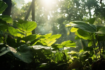 Sunlight filtering through leaves in a botanical garden