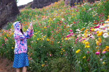 Happy Asian woman in beautiful Pink Cherry blossom flowers garden in Thailand. Pretty girl relax and enjoy in flower garden.