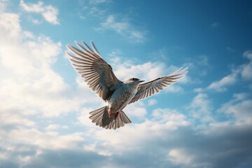 Airborne bird framed by a magnificent blue sky