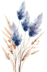 Blue Pampas grass isolated on transparent background. PNG