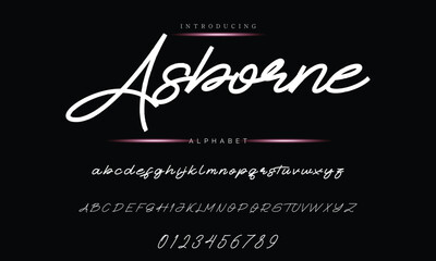 Elegant Handwriting Font - Modern Signature Script Design