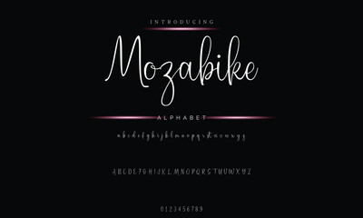 Elegant Handwriting Font - Modern Signature Script Design