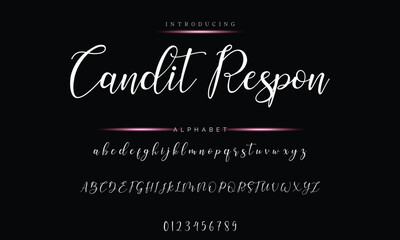 Elegant Handwriting Font - Modern Signature Script Design