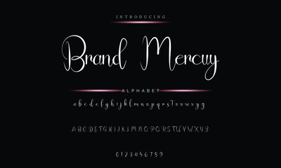 Luxury Signature Font - Handcrafted Calligraphy Typeface