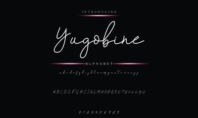 Stylish Signature Font - Modern Handwritten Calligraphy Design