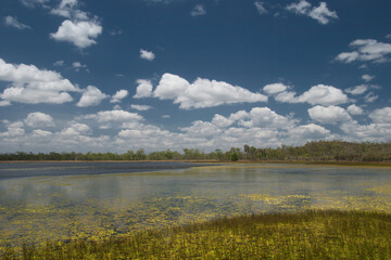 Mareeba Wetlands, Atherton Tablelands, Queensland, Australia