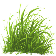 Grass isolated on transparent background. PNG