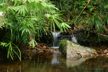 Fototapeta premium Crystal Cascades near Cairns, Queensland, Australia
