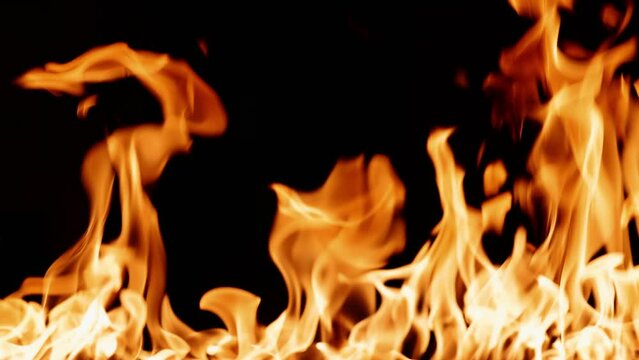 Fire burning. A bright burning flames on a black background. Fire in slow motion. Wall of fire, abstract background. Drag and Drop on Your Timeline, to apply a Fire effect to a video