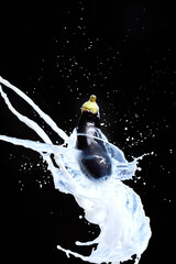 Obraz na płótnie Canvas Fresh whole eggplant splashes milk