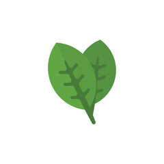 Green Leaves vector illustration, leaves flat icon