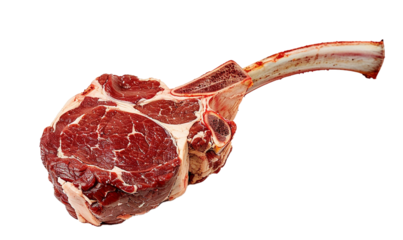 Fresh tomahawk  raw beef steak isolated on white background. Large piece of cow meat filet closeup.