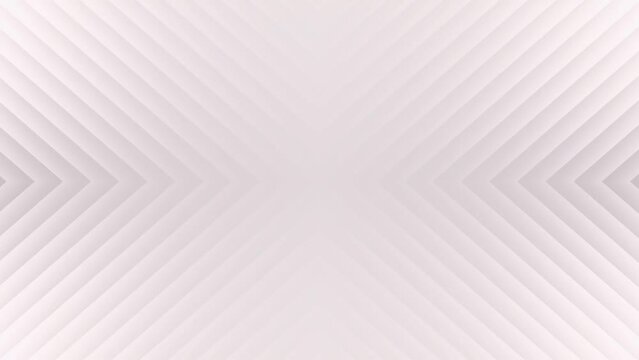 clean line white background animation