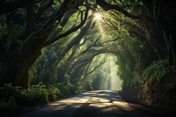 Fotobehang Sunbeams pierce through an enchanted forest road, creating a magical scene. © GreenMOM