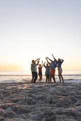 Fototapeta premium Friends celebrate on the beach at sunset, with copy space