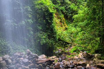Crystal Shower Falls in Dorrigo National Park near Coffs Harbour