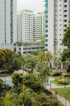 Living with Nature