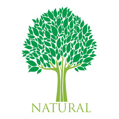 Obraz premium Green Tree isolated on a white background. Logo tree. 100 % percent natural label. Organic natural product. Vector illustration