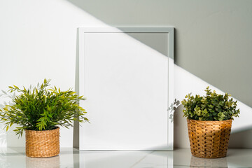 Potted plant and blank picture frame against white wall
