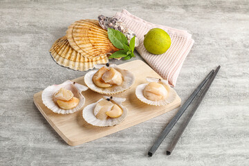 Raw natural scallop in its shell